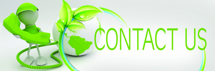 gallery/contact us